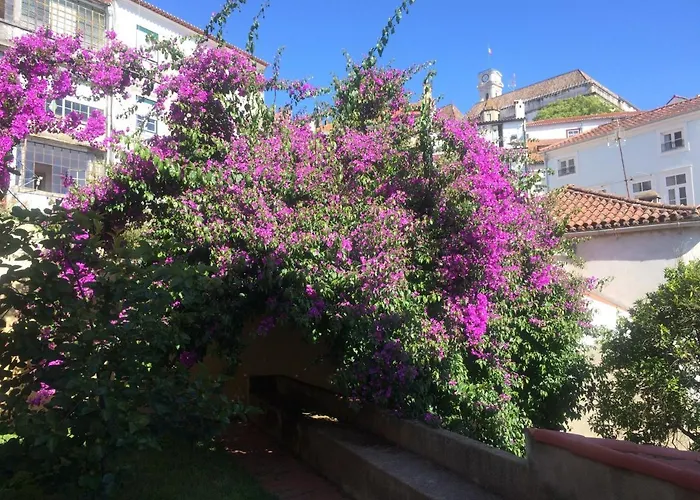 Sobre Ribas 2|12 Lägenhet